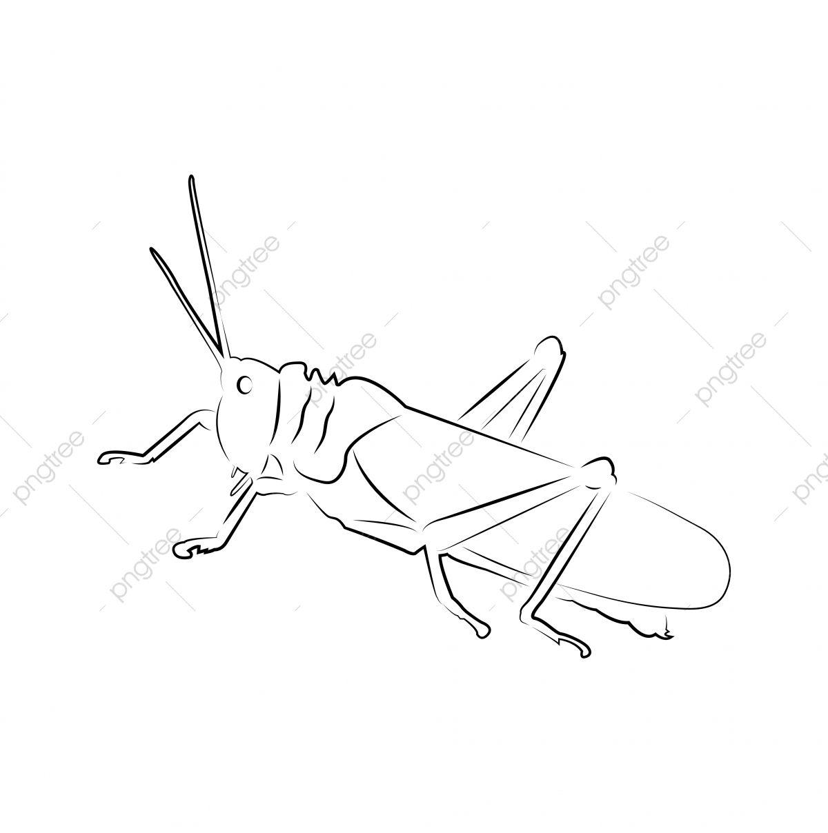 Grasshopper Logo - Grasshopper Logo Icon Design Template Vector, Icon, Illustration ...