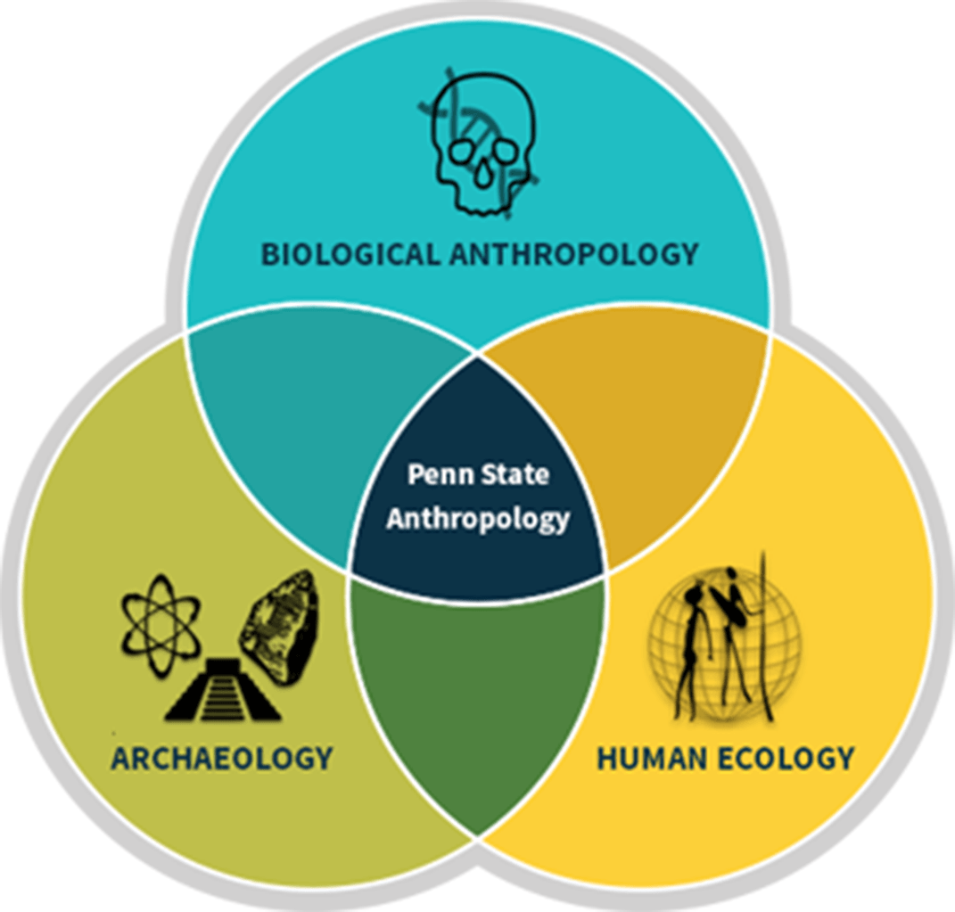 Anthropology Logo - Welcome to Penn State Anthropology!