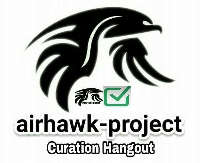 Airhawk Logo - Airhawk project curation show — Steemit