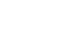 True Logo - CENTRAL EMBASSY