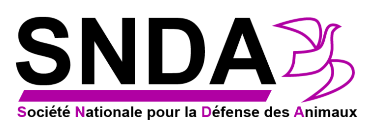 Snda Logo - Maintenance 3 - SNDA