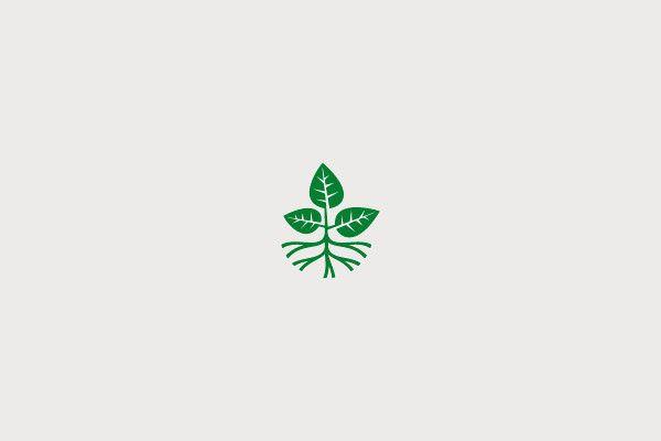 Plants Logo - 21+ Plant Logo Designs For Inspiration | FreeCreatives