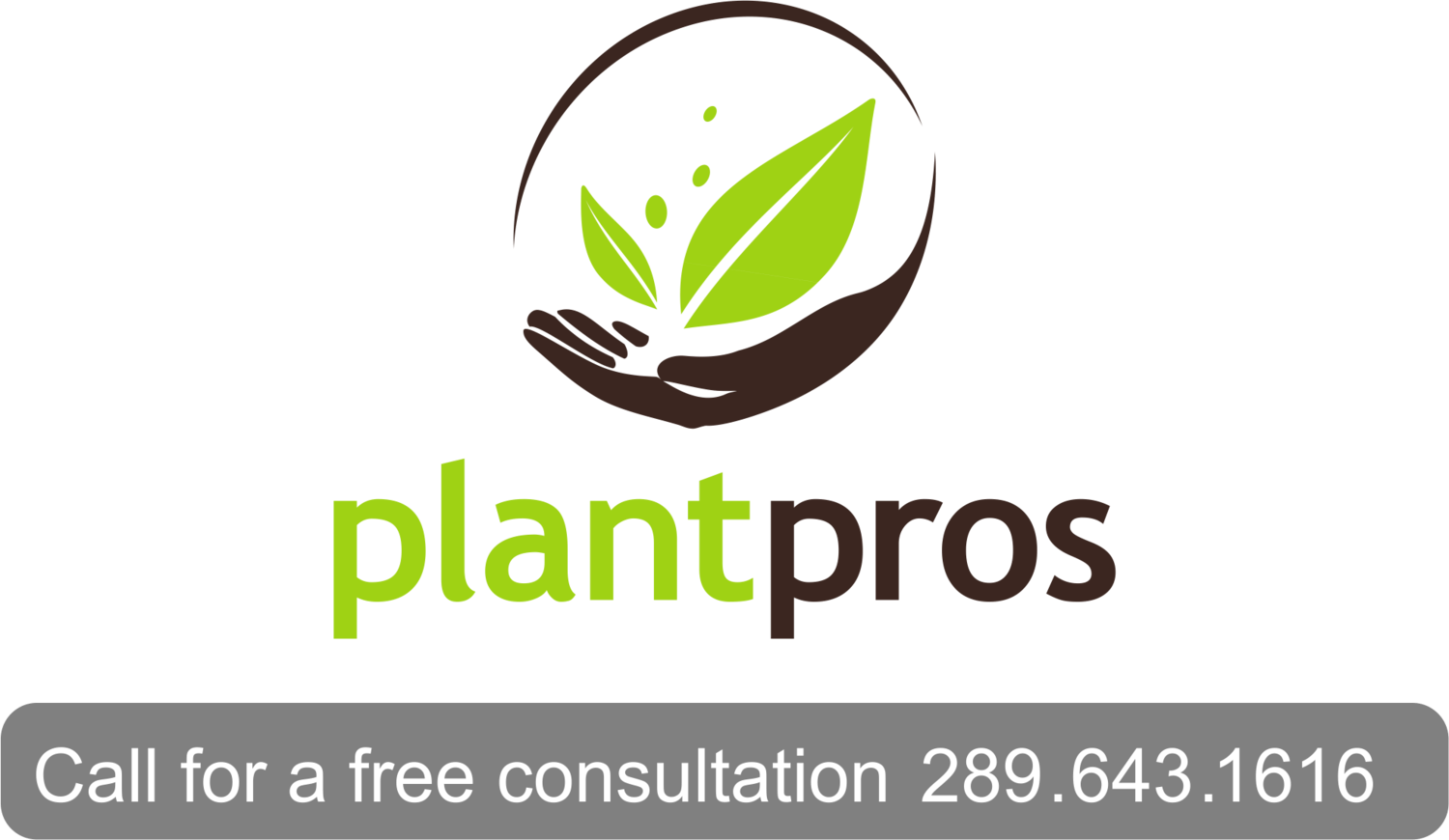 Plants Logo - Collection of free Transparent plants logo. Download on UI Ex