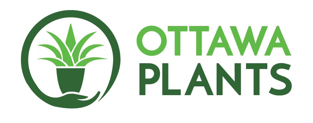 Plants Logo - Oleander
