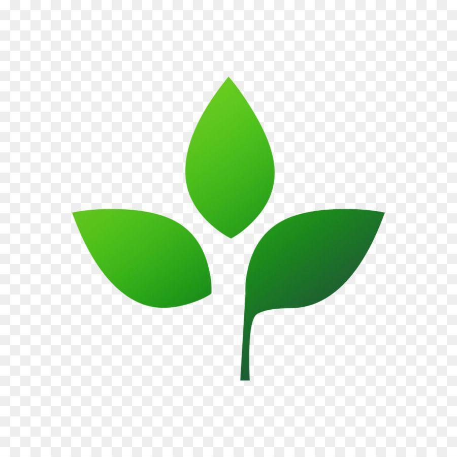 Plants Logo - Food Leaf png download - 1500*1500 - Free Transparent Food png Download.