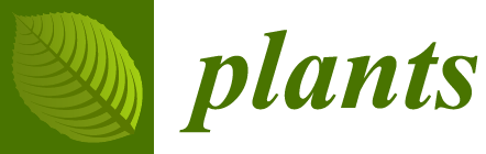 Plants Logo - Plants | An Open Access Journal from MDPI