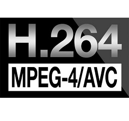 H.264 Logo - 4K H.264 Video Processing: How to Resize a 4K H.264 Video at Highest ...