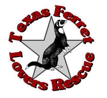 Ferret Logo - Texas Ferret Lover's Rescue