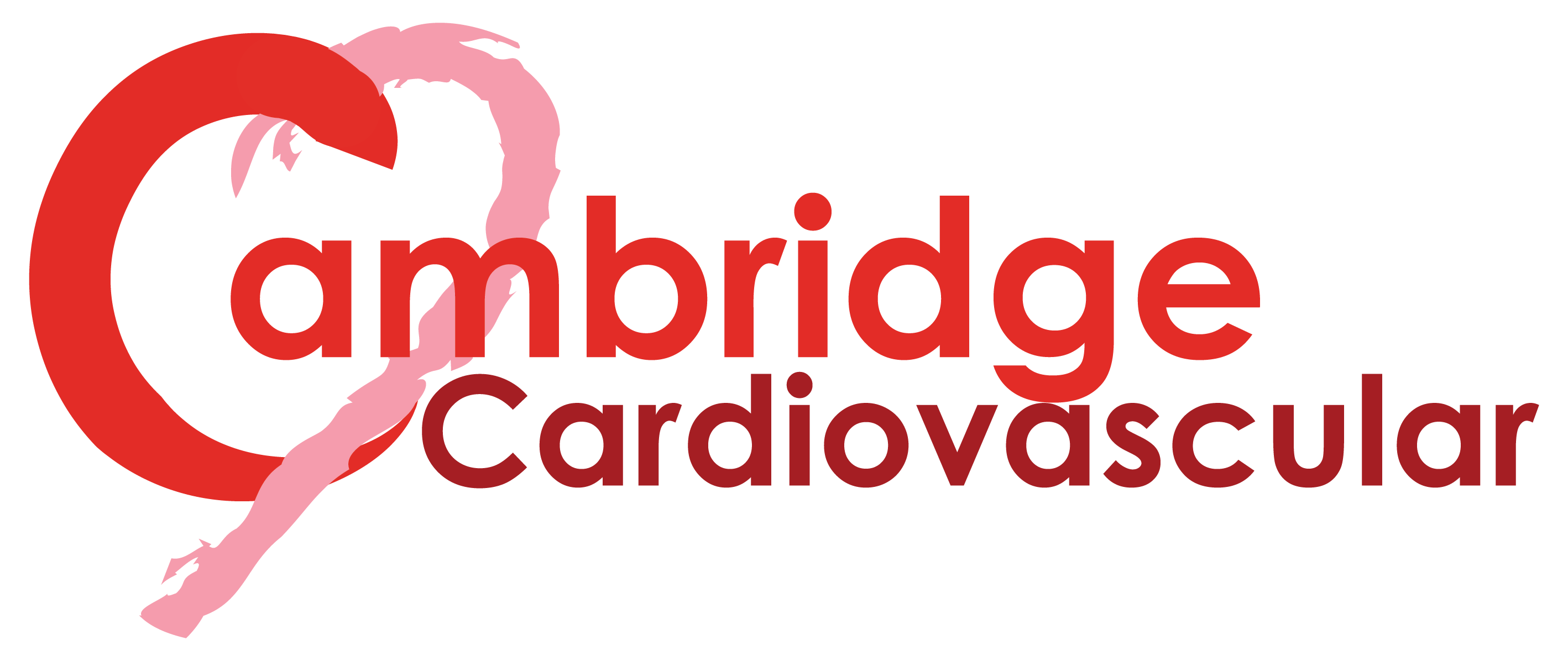 Cardiovascular Logo - Cambridge BHF Centre of Research Excellence — Cambridge Cardiovascular