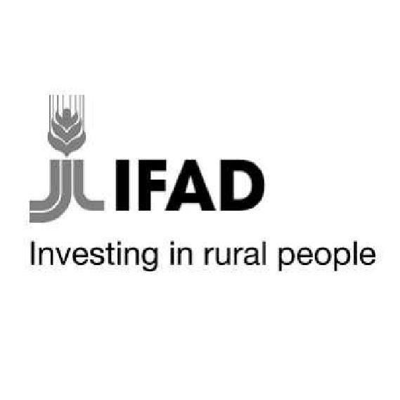 IFAD Logo - Rural Transformations - ifad.org