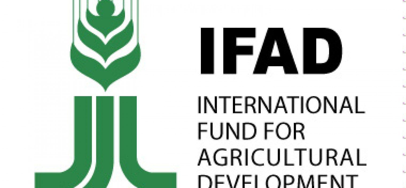 IFAD Logo - IFAD Trains Farmers in Niger State on Family Nutrition, Hygiene