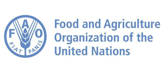 IFAD Logo - Members Of The Inter Agency Working Group (IAWG)