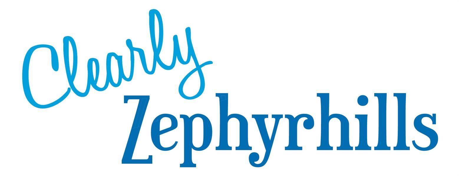 Zephyrhills Logo - DG Monson Adjusting | Claims Adjusting - Greater Zephyrhills Chamber ...