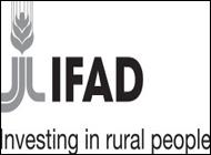 IFAD Logo - MTCP2 Farmer Organisations