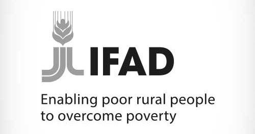IFAD Logo - ifad vector logo