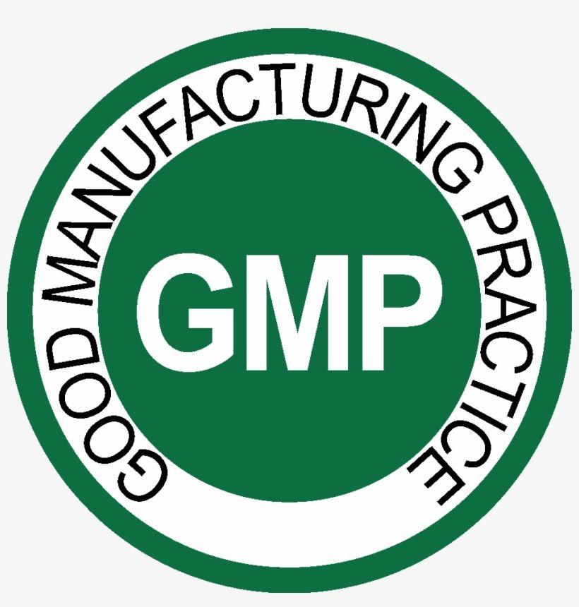 GMP Logo - Gmp Logo Transparent PNG Download