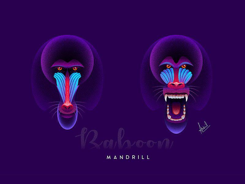 Mandrill Logo - Baboon Mandrill by Akhil Ismail on Dribbble