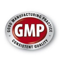 GMP Logo - GMP LOGO