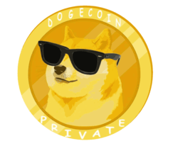 Dogecoin Logo - DogeCoin Private (DOGP) price, marketcap, chart, and fundamentals info |  CoinGecko