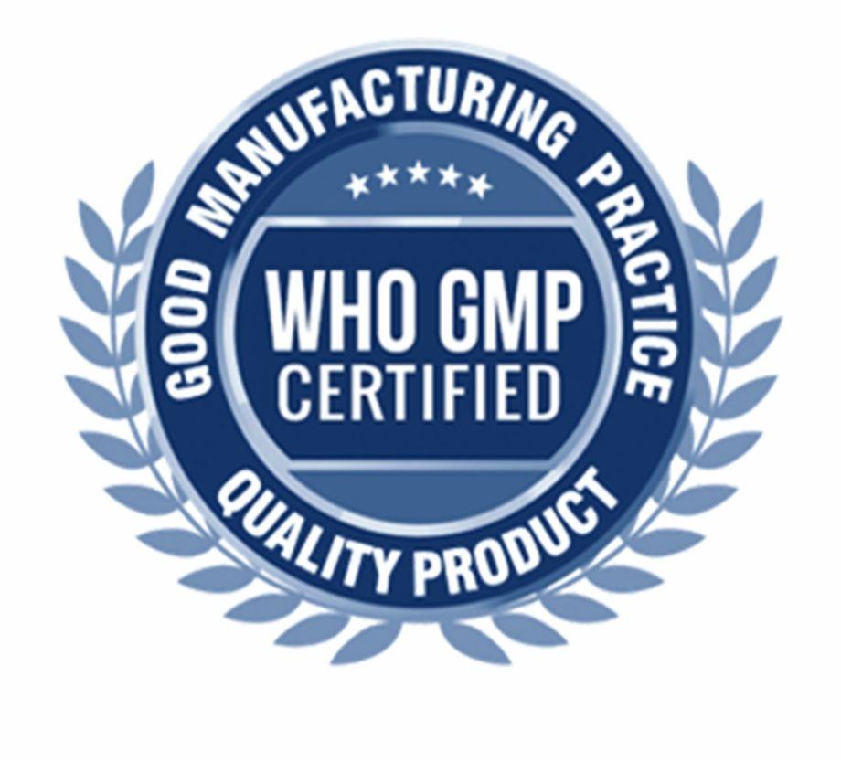 GMP Logo - Future Plan And Projects Certified Logo Png Free PNG Image