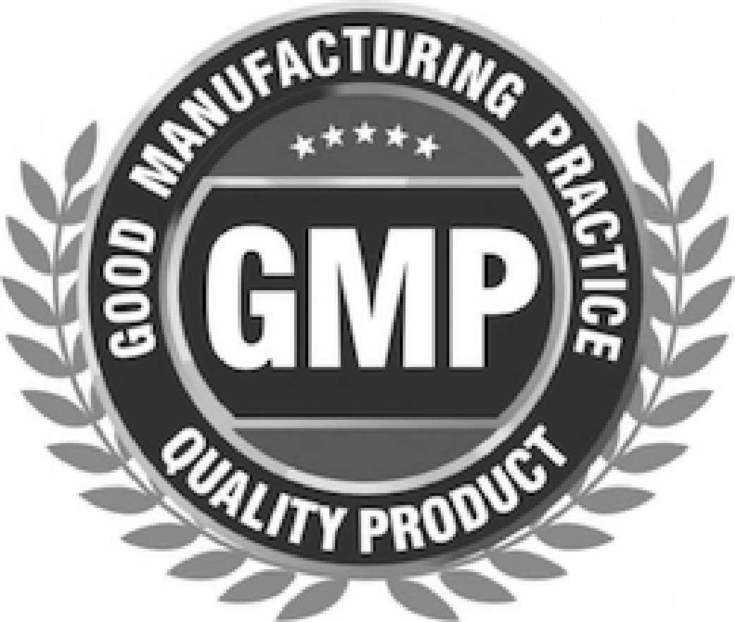 GMP Logo - Gmp Icon #102277 - Free Icons Library