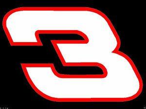 Earnhardt Logo - Details about 8