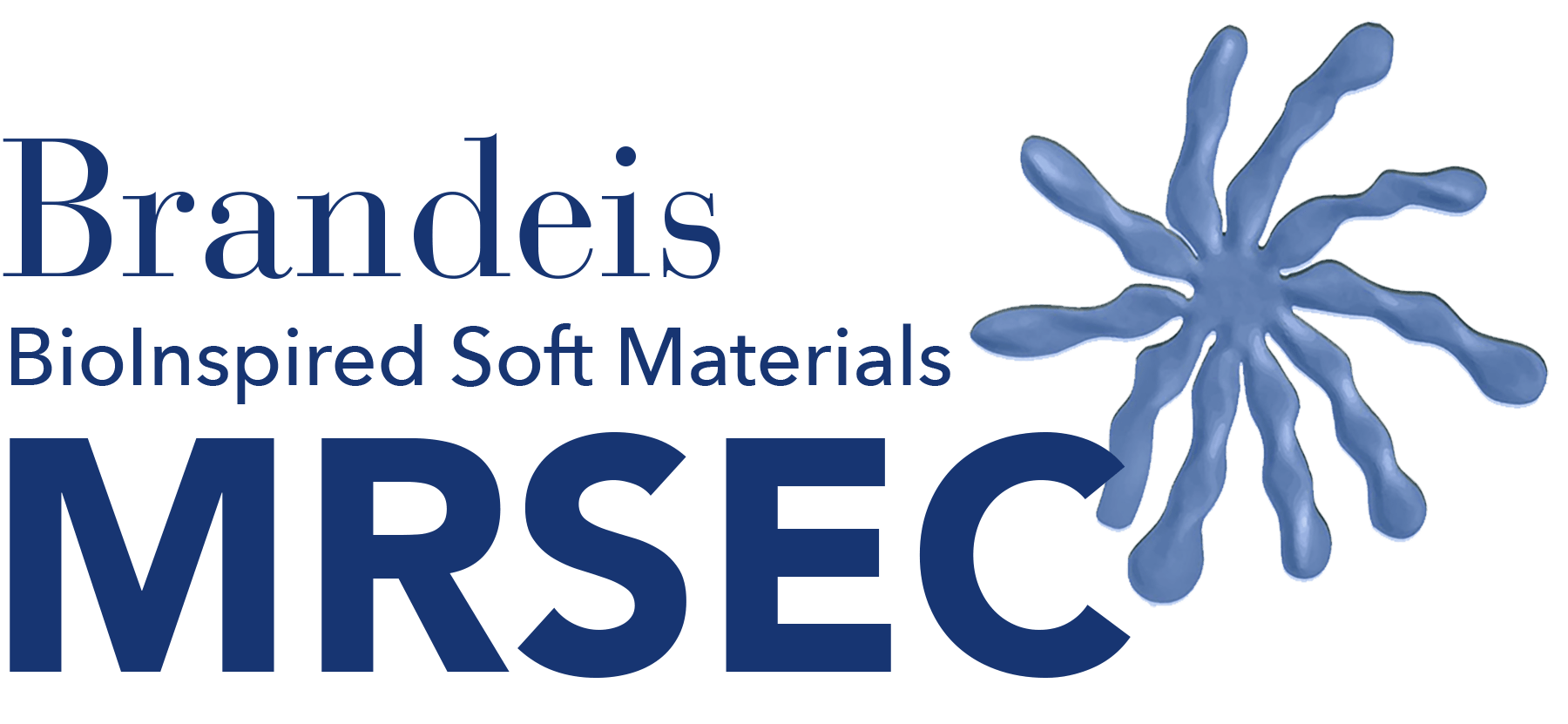 Brandeis Logo - Logo and Letterhead | MRSEC Research | Brandeis University