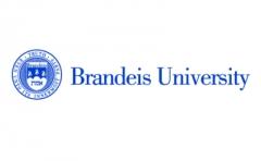 Brandeis Logo - Brandeis University Logo 28351®