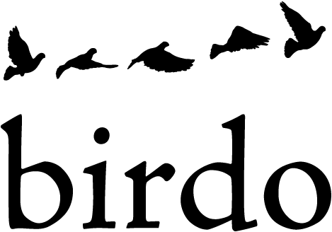 Birdo Logo - Birdo