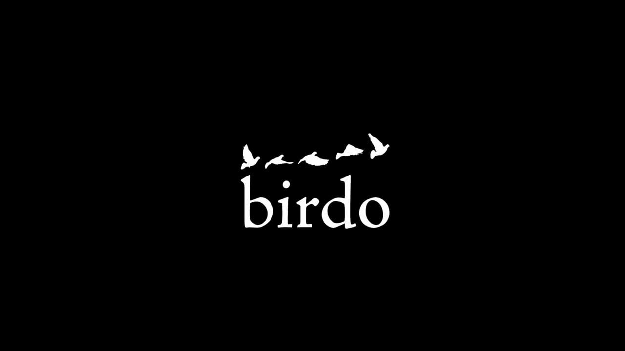 Birdo Logo - Birdo Studio Reel 2013