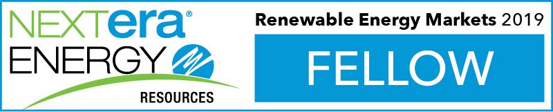 NextEra Logo - 2019 NextEra Energy Resources Fellows | Renewable Energy Markets 2019