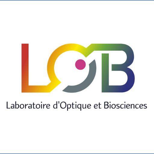 Lob Logo - LOB (@LabOptBio) | Twitter
