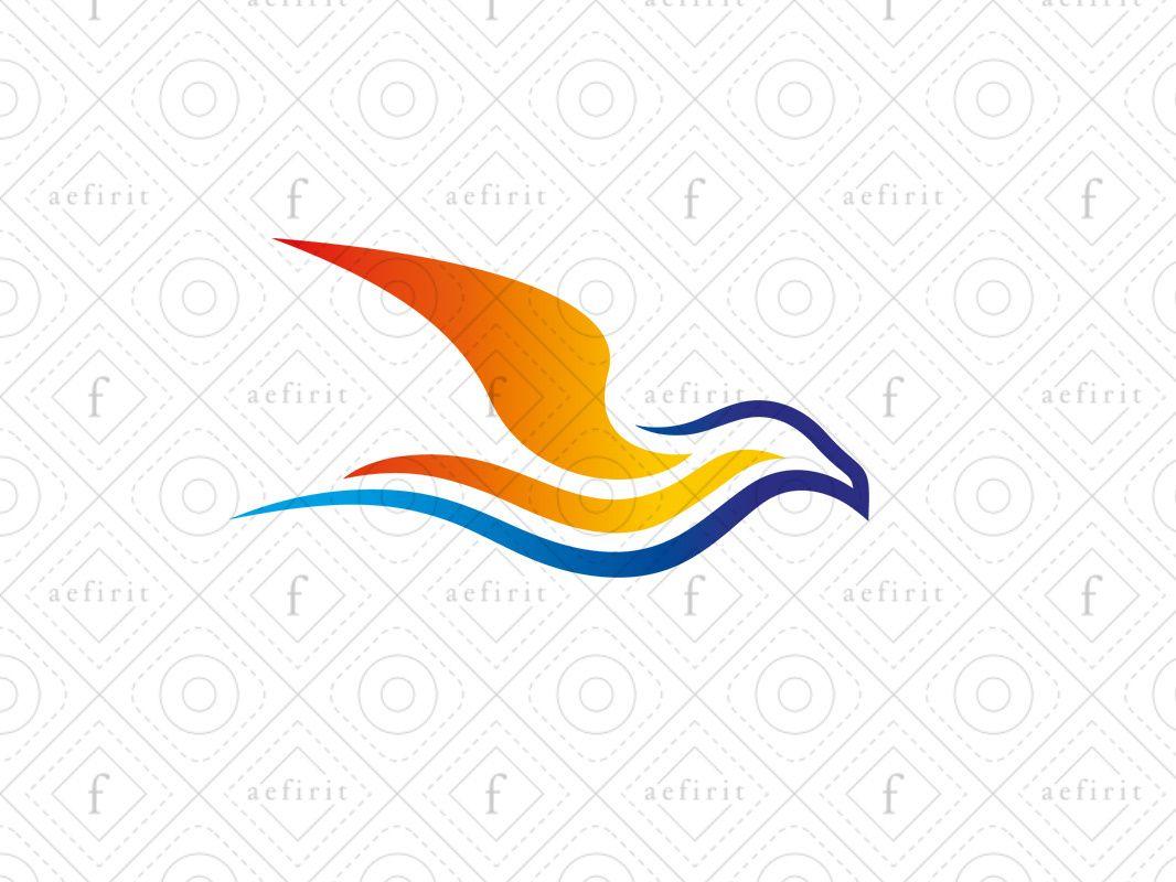 Seagull Logo - Sunset Seagull Logo by aefirit on Dribbble
