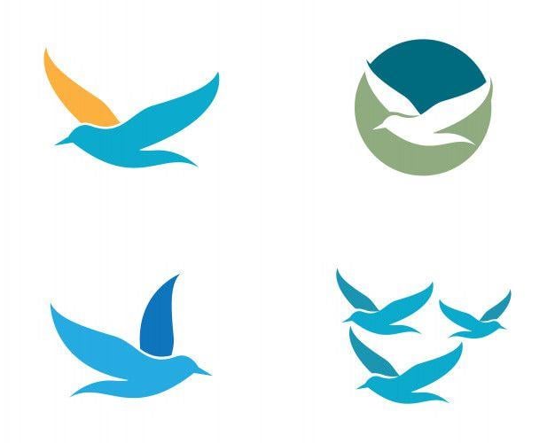 Seagull Logo - Seagull logo template Vector | Premium Download