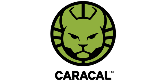 Caracal Logo - LION FORGE Focuses on Ages 8 to 12 With New CARACAL Imprint