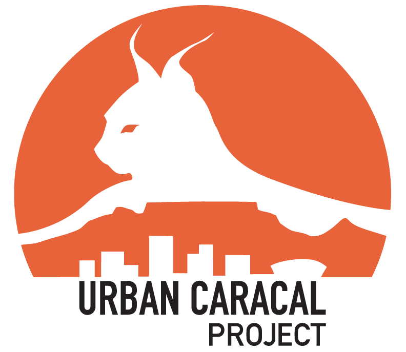 Caracal Logo - Urban Caracal Project