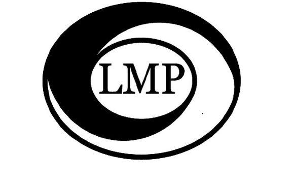 LMP Logo - Centrifugal Pumps by LMP Pump Consulting in Everson Area