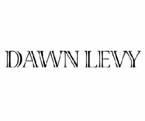 Levy Logo - Brush Beauty Makeup and Hair Artistry. Dawn Levy Beauty