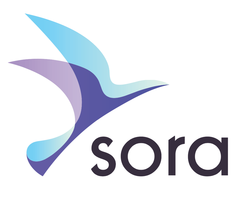 Sora Logo - Sora