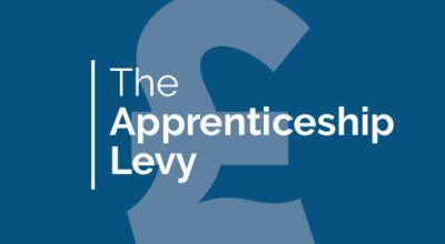 Levy Logo - Risk UK Apprenticeship Levy Archives