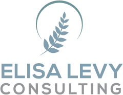 Levy Logo - Business Consultant Business Coach Leadership Training