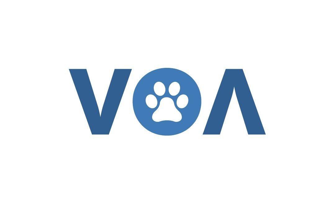 VOA Logo - VOA - Advances in Canine Osteoarthritis Treatment - Nupsala