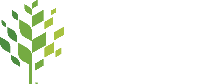 Raleigh Logo - raleighnc.gov