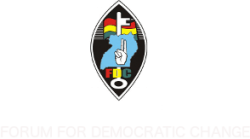 FDC Logo - Forum for Democratic Change