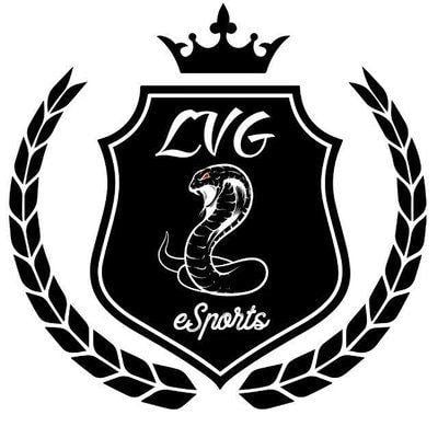 LVG Logo - LVG eSports (@LVG_eSportsCR) | Twitter