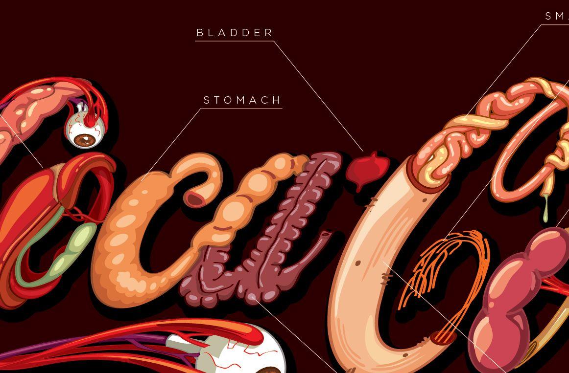 Anatomical Logo - Anatomical Logo That Shows Which Organs Of Your Body Are