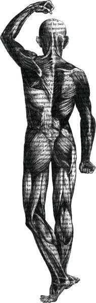 Anatomical Logo - 82 Best anatomy images in 2012 | Human anatomy, Medicine, Anatomy Art