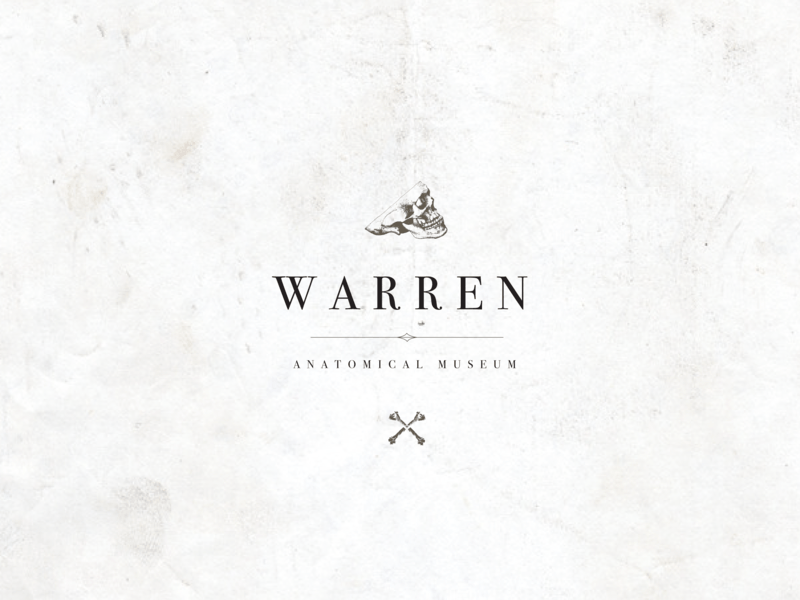 Anatomical Logo - Warren Anatomical Museum Logo by Italia Venegas on Dribbble