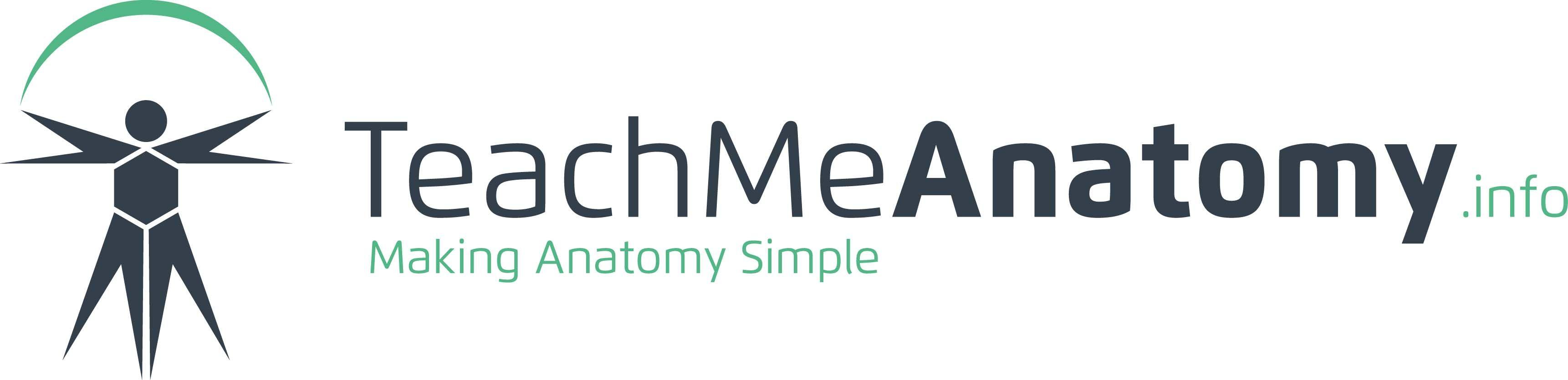Anatomical Logo - TeachMeAnatomy - Making Anatomy Simple