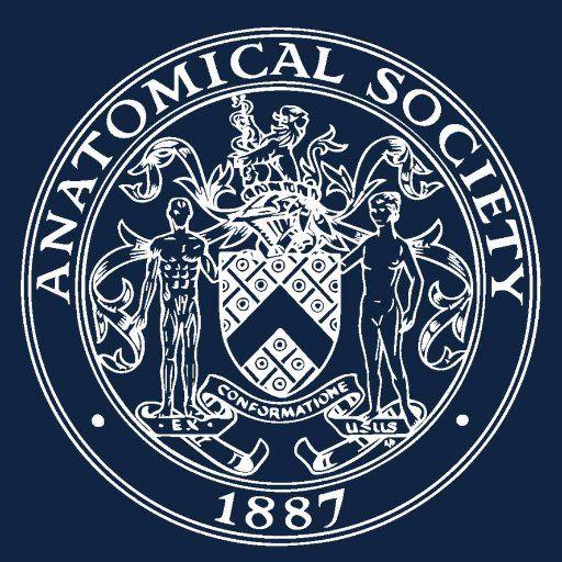 Anatomical Logo - Anatomical Society (@anat_soc) | Twitter